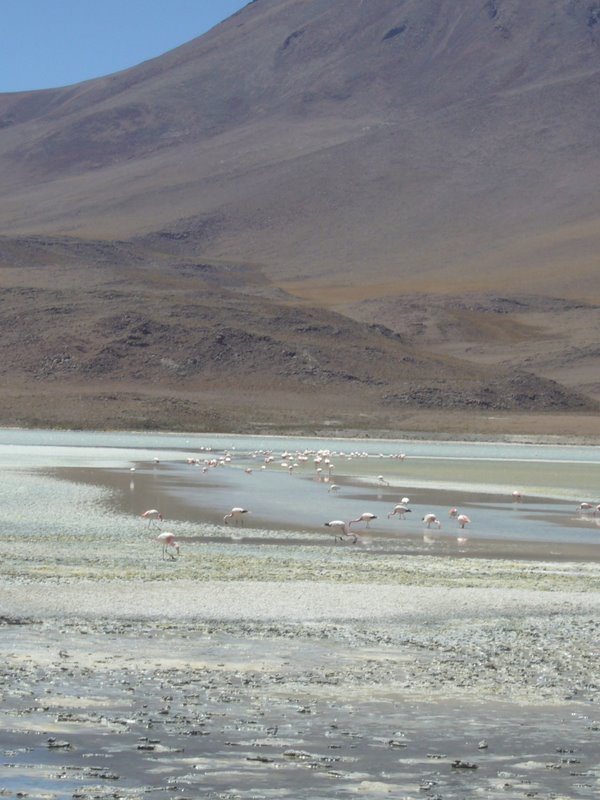 Travel - Bolivia - Salar De Uyuni - Laguna 2